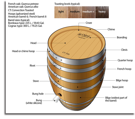 Barrel Diagram
