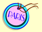 Paris Luggage Tag