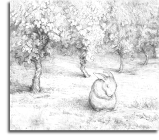 Bunny in Vineyard